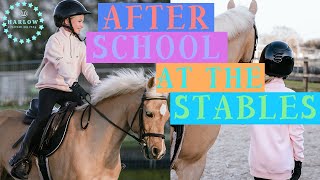 After School At The Stables  Harlow amp Popcorn The Pony [upl. by Eiwoh53]