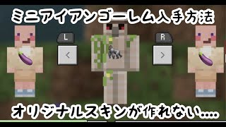 【マイクラ】おんりースキン入手方法 21【マインクラフト 】 [upl. by Onfre]