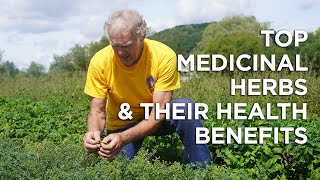 Top Medicinal Herbs Medicinal Uses and Health Benefits [upl. by David]