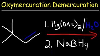 Oxymercuration Demercuration Reaction Mechanism [upl. by Hardwick]