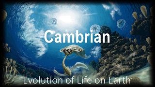 The Evolution of Life part 2  Cambrian [upl. by Erehs]