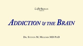 Relapse Prevention Addiction Triggers Recovery Strategies [upl. by Lemal]