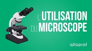 Lutilisation du microscope  Sciences  Alloprof [upl. by Julita]