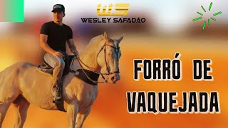 WESLEY SAFADÃO DAS ANTIGAS  FORRÓ DE VAQUEJADA  AS MELHORES [upl. by Aneda]