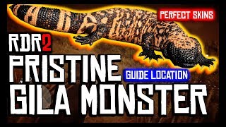 HOW TO FIND A PRISTINE GILA MONSTER AND GET PERFECT SKIN IN RED DEAD REDEMPTION 2  LOCATION GUIDE [upl. by Grace360]