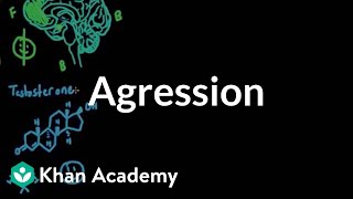 Aggression  Individuals and Society  MCAT  Khan Academy [upl. by Werdnaed]