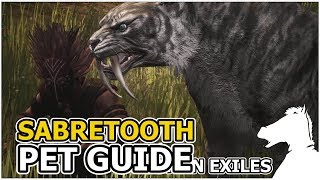 SABRETOOTH  Pets Guide  CONAN EXILES [upl. by Lenore]