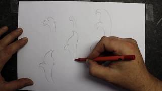 How to draw scroll designs The basics [upl. by Farhi]