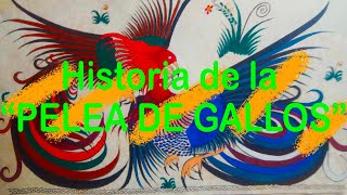 LA PELEA DE GALLOS  HISTORIA  AGUASCALIENTES [upl. by Myrle]