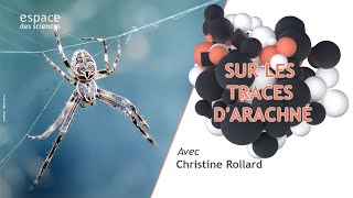 🕷️ Sur les traces dArachné [upl. by Inaluiak]