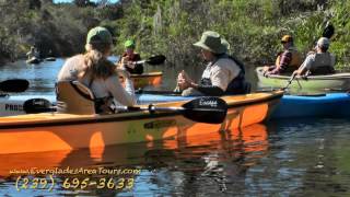 Everglades Area Tours Guided Eco Adventures [upl. by Rotsen]