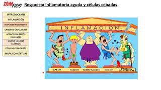 FISIOPATOLOGÍA RESPUESTA INFLAMATORIA AGUDA Y CÉLULAS CEBADAS [upl. by Normandy32]