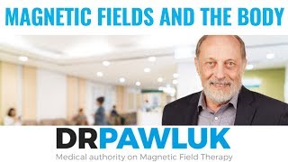 How Does Magnetic Field Therapy Work to Help the Body [upl. by Azrim]