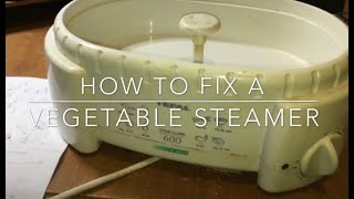 How to Fix a Vegetable Steamer  Tefal Steam Cuisine 600 [upl. by Bearce]