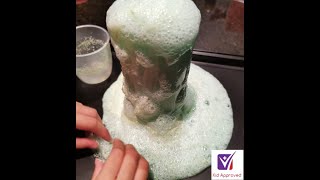 Home Science Experiments Noperoxide Elephant Toothpaste [upl. by Ramled]