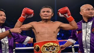 Donnie Nietes  Highlights  Knockouts [upl. by Eusassilem720]