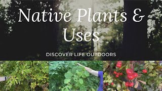 Native American Medicinal Plant Uses [upl. by Cheffetz]