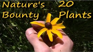 20 Edible amp Medicinal Plants In 10 Minutes [upl. by Kilan102]