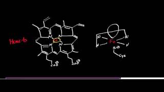 CYP2E1 Mechanism Oxidation of Ethanol to Acetaldehyde [upl. by Nauqahs]