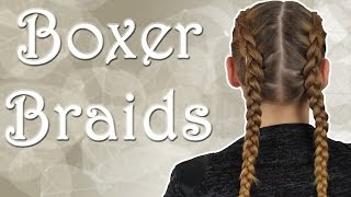 Boxer Braids  Variante 1 holländischer Zopf  haareflechten [upl. by Nivlek518]