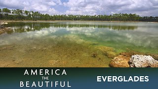 Everglades  A River of Grass [upl. by Dygert]