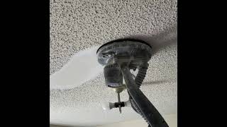 Removing Popcorn Ceiling with Festool Planex Easy [upl. by Ashwin980]