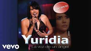 Yuridia  Maldita Primavera Cover Audio [upl. by Lleval]