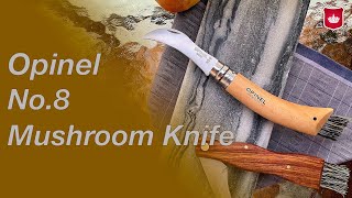 Opinel No8 Mushroom Knife  Francuski Nóż na grzyby  Kayoba [upl. by Ardried]