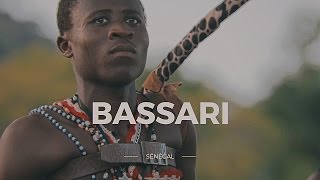 Troupe Bassari Danses et chants du Sénégal Oriental [upl. by Nodnarb]