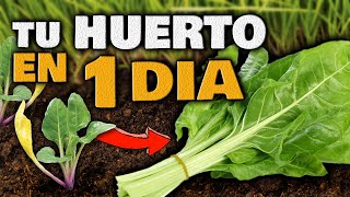 Haz tu HUERTO en Casa SIN COMPRAR SEMILLAS PLANTAS EN SOLO 1 DÍA  Huerto Urbano con POCO ESPACIO [upl. by Peggy442]