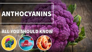 ANTHOCYANINS Health BENEFITS amp Properties 💚 100 Herbalism Vegan food benefits [upl. by Errehs]