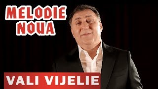 Vali Vijelie si Stelu Pandelescu  Sotia mea frumoasa NOU 2019 [upl. by Ellehsem859]