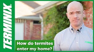 How Do Termites Enter the Home [upl. by Soiritos]