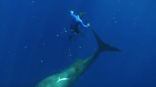 Swimming with Sperm Whales  Super Giant Animals  BBC Earth [upl. by Nylirrehs]