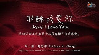 【耶穌我愛祢 Jesus I Love You】官方歌詞版MV Official Lyrics MV  讚美之泉敬拜讚美 12A [upl. by Nafri38]