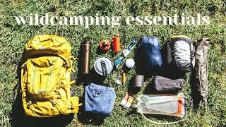 10 Wildcamping Essentials [upl. by Quinby309]