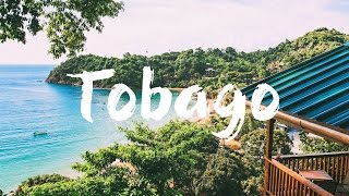 TOBAGO  TOP 10 THINGS to See amp Do  Travel Guide [upl. by Arri]