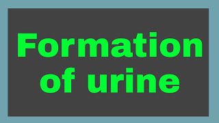 urine formation II how urine formed in body [upl. by Stahl]