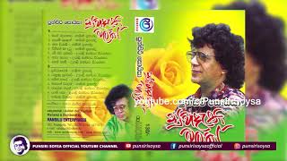 14 Ansathu Sithakata අන්සතු සිතකට Suwadethi Malak Album  Punsiri Soysa [upl. by Silverstein779]