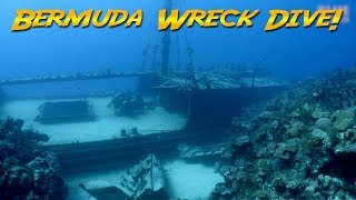 Diving the Hermes Wreck Bermuda The Bermuda Triangle [upl. by Bartle192]