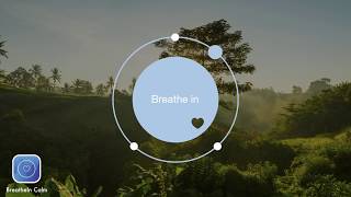 BreatheIn Calm App  2 min Breathe Bubble  Breathing Exercise Jungle [upl. by Eimas]