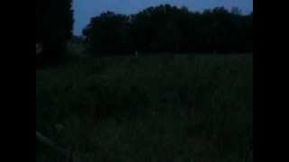 Gettysburg Wheatfield Fife and Drums [upl. by Eilram]