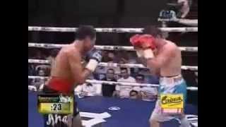 Donnie Nietes vs Mario Rodriguez [upl. by Barbara-Anne]