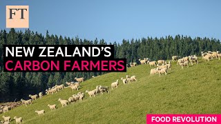 Carbon farming fighting New Zealand’s agricultural emissions  FT Food Revolution [upl. by Tella]