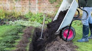 How to Plant a Bare Root Hedge Video Tutorial  Hedges Direct [upl. by Raddy]