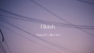 Bluish Animal Collective 和訳意訳 [upl. by Anilehs]