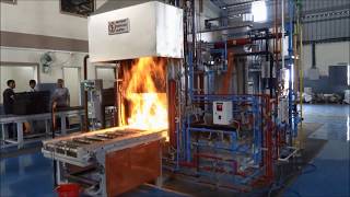 Heat Treatment Process [upl. by Harlin247]