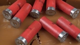 12 Gauge Birdshot For Home Defense [upl. by Jameson]