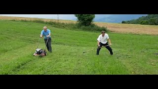 Lawn Mower versus Scythe again  Love scything 5 [upl. by Custer]