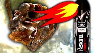 How To Kill Wasps amp Nest Flames Non Chemical Pest Control [upl. by Evander]